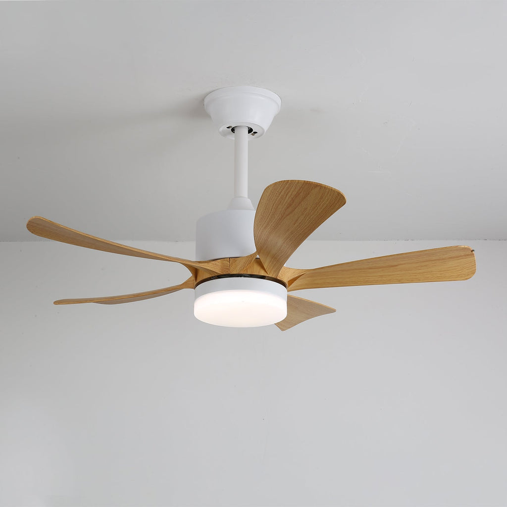 avenli-ceiling-fan-light-anzaz--14