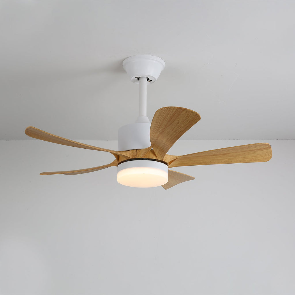 avenli-ceiling-fan-light-anzaz--9