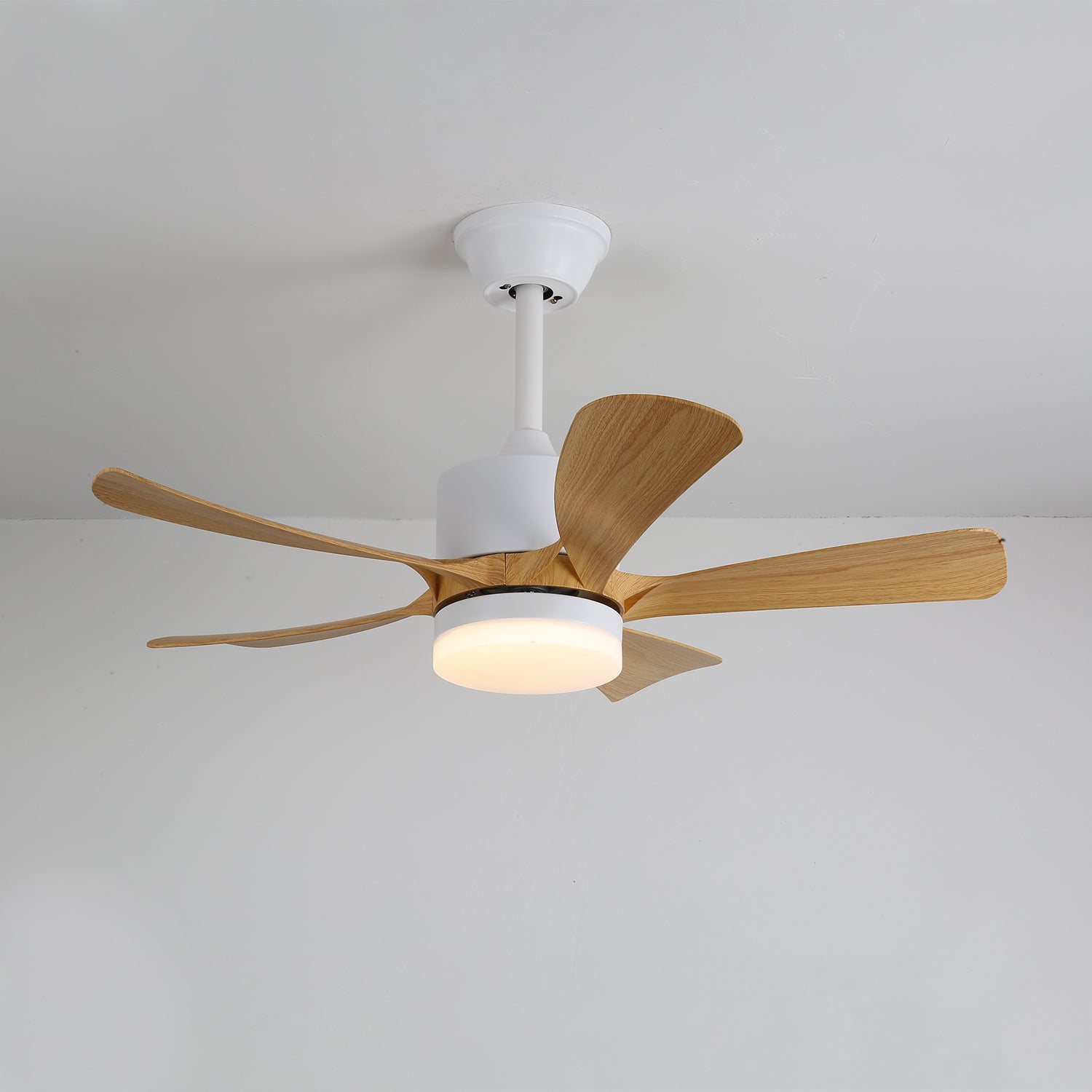 avenli-ceiling-fan-light-anzaz--9