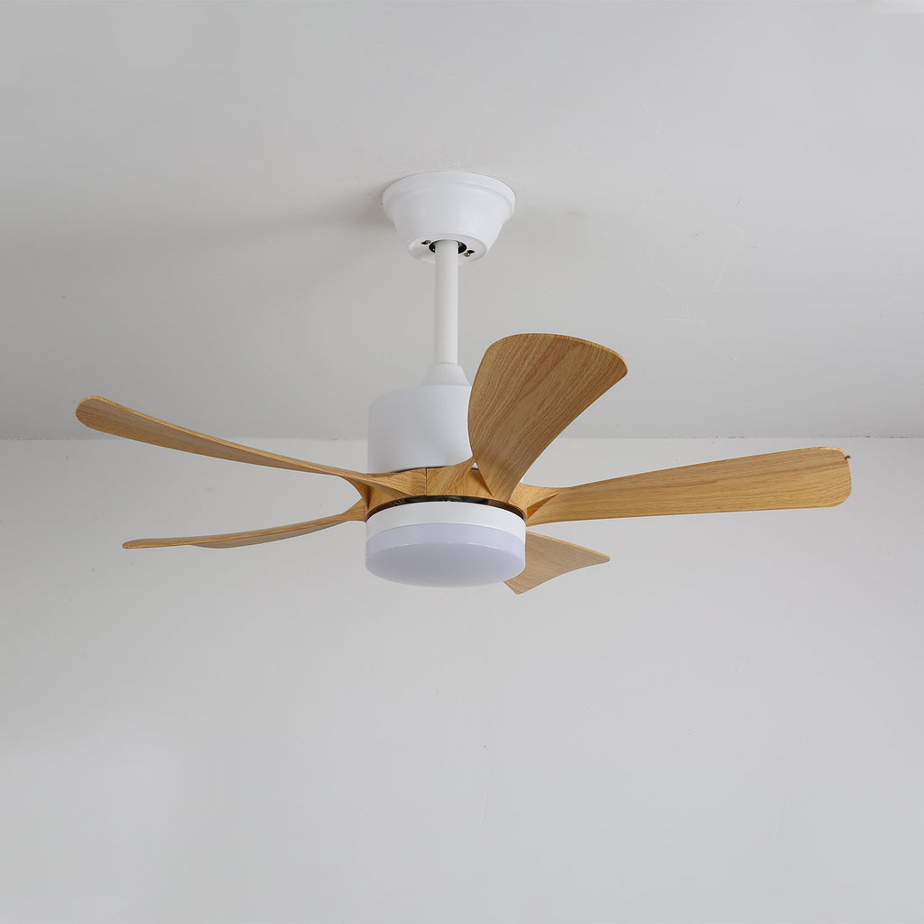 avenli-ceiling-fan-light-anzaz--15