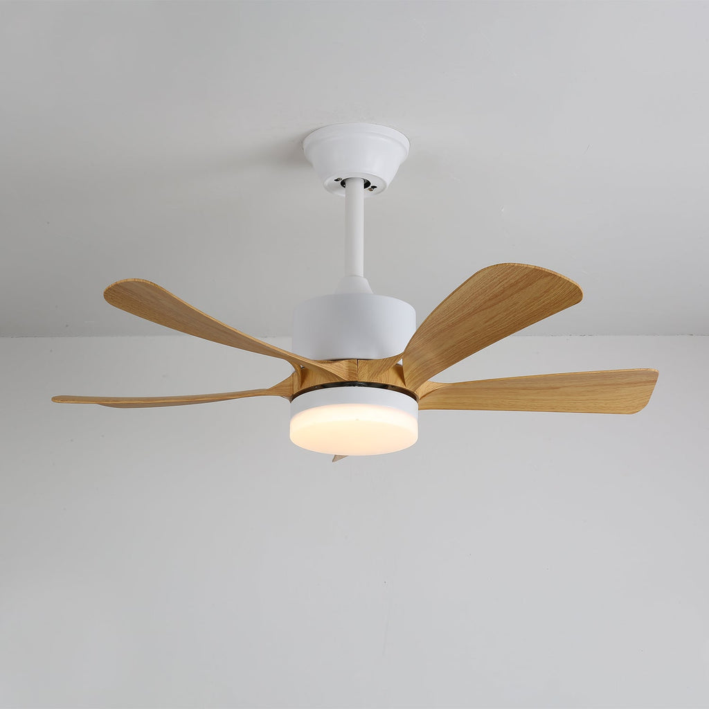 avenli-ceiling-fan-light-anzaz--12