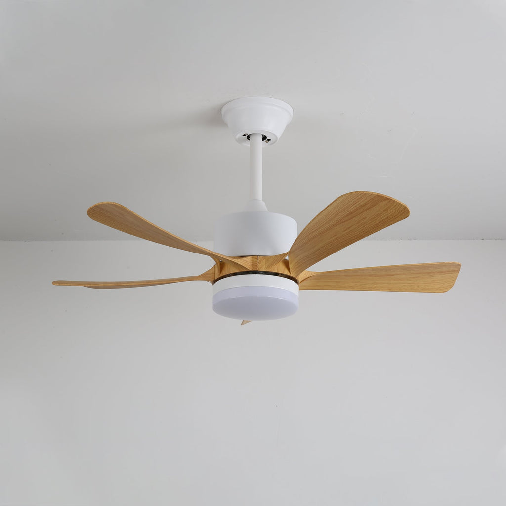 avenli-ceiling-fan-light-anzaz--16