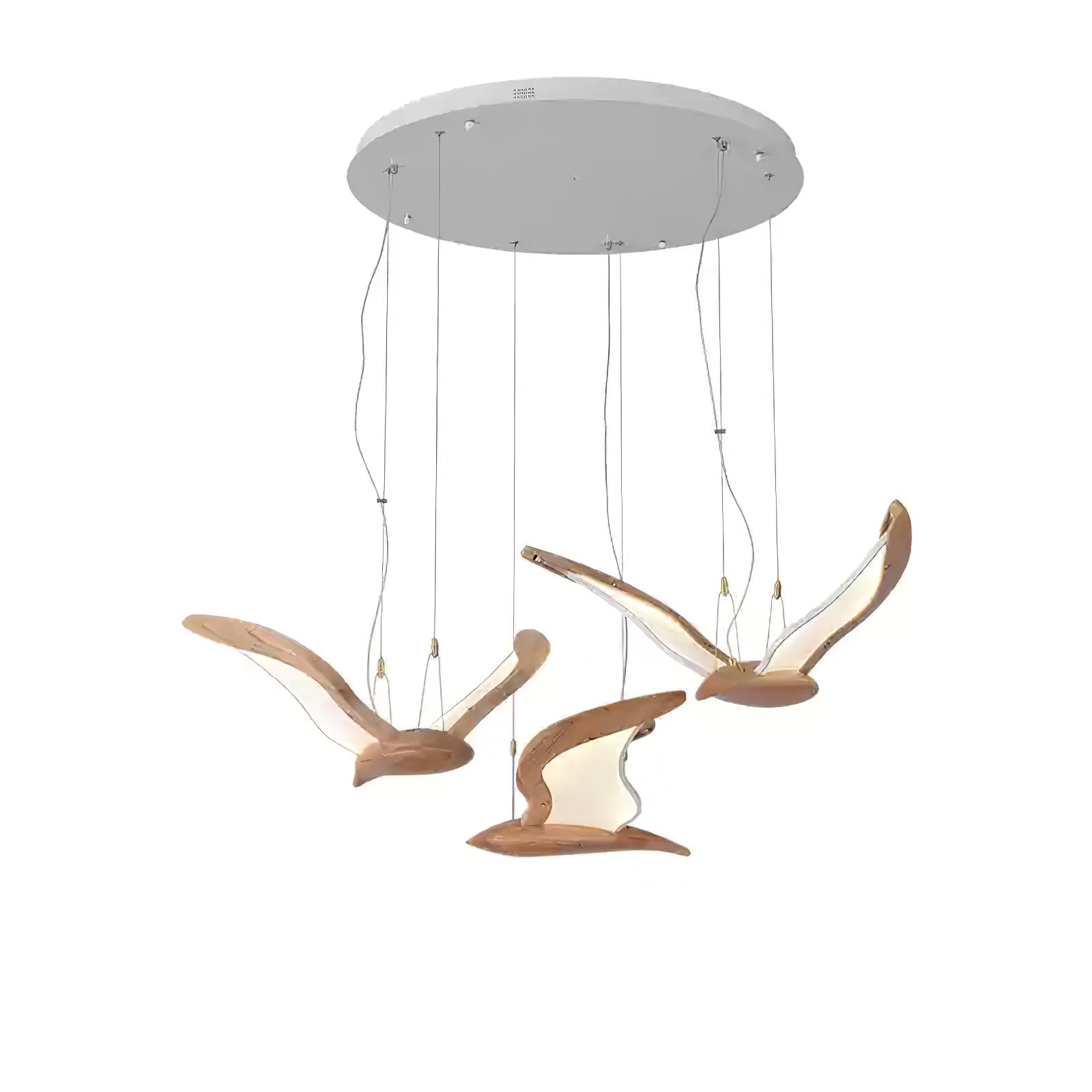 avina-wing-pendant-light-anzaz--21