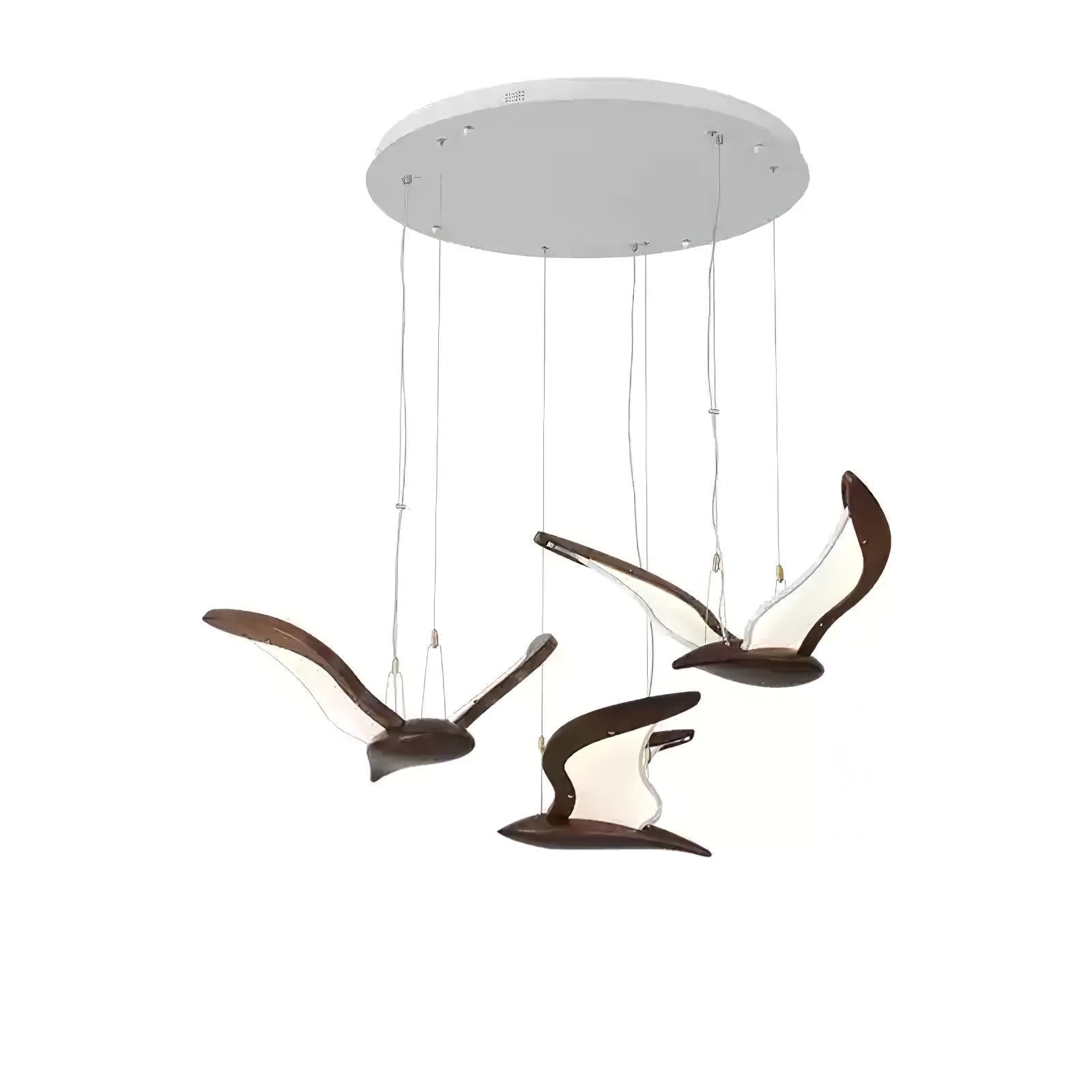 avina-wing-pendant-light-anzaz--19
