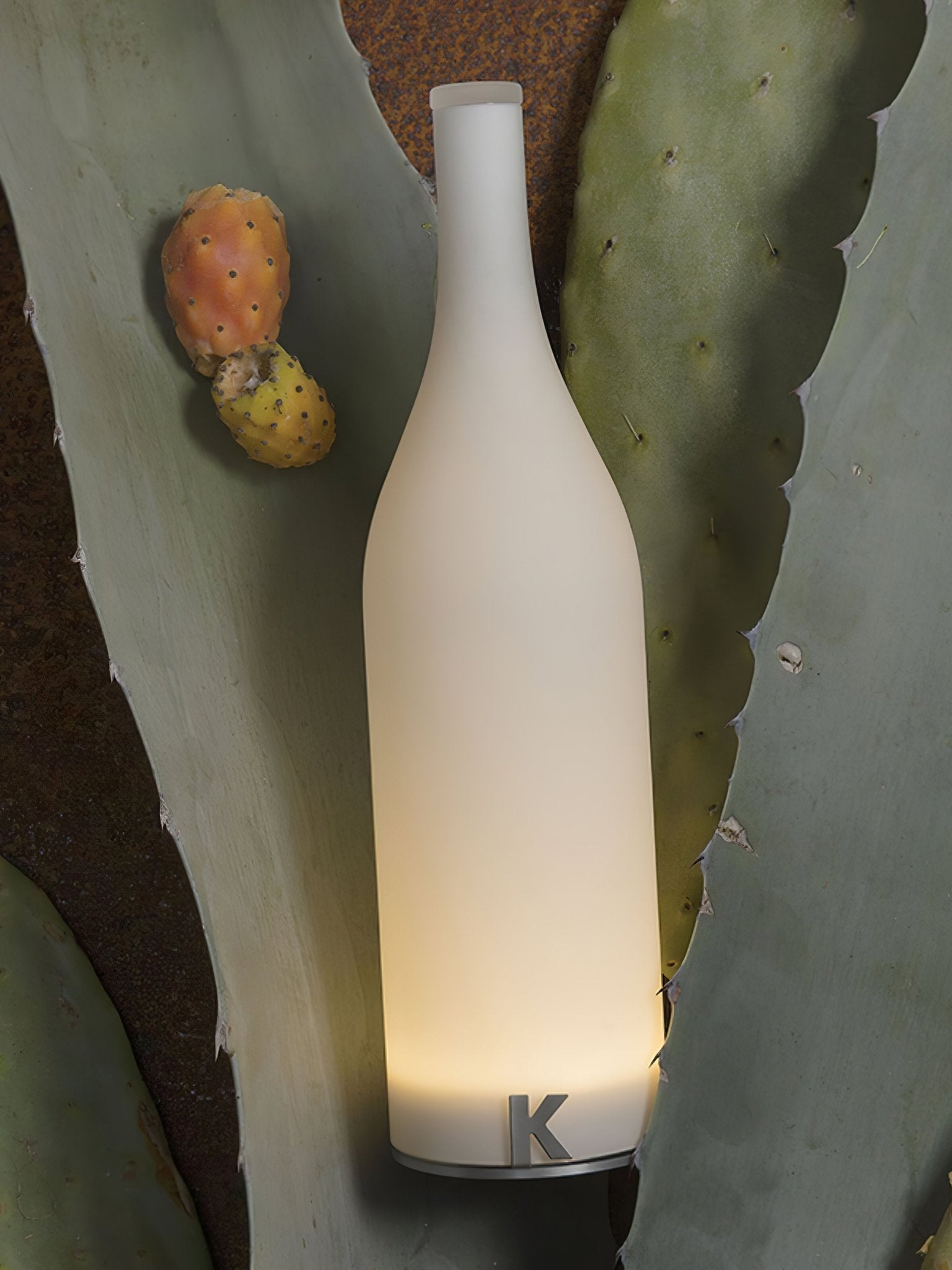 bacco-built-in-battery-table-lamp-anzaz--19