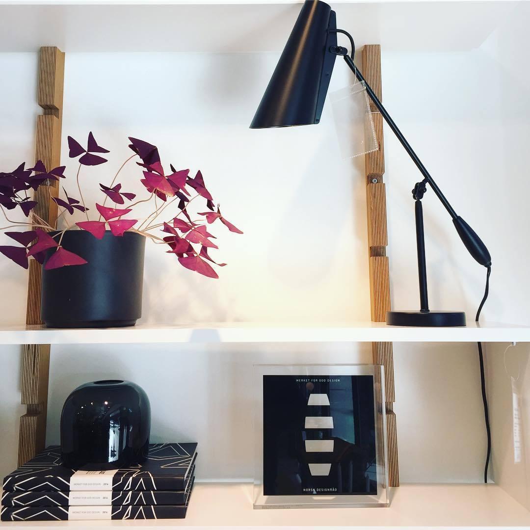 birdy-table-lamp-anzaz--32
