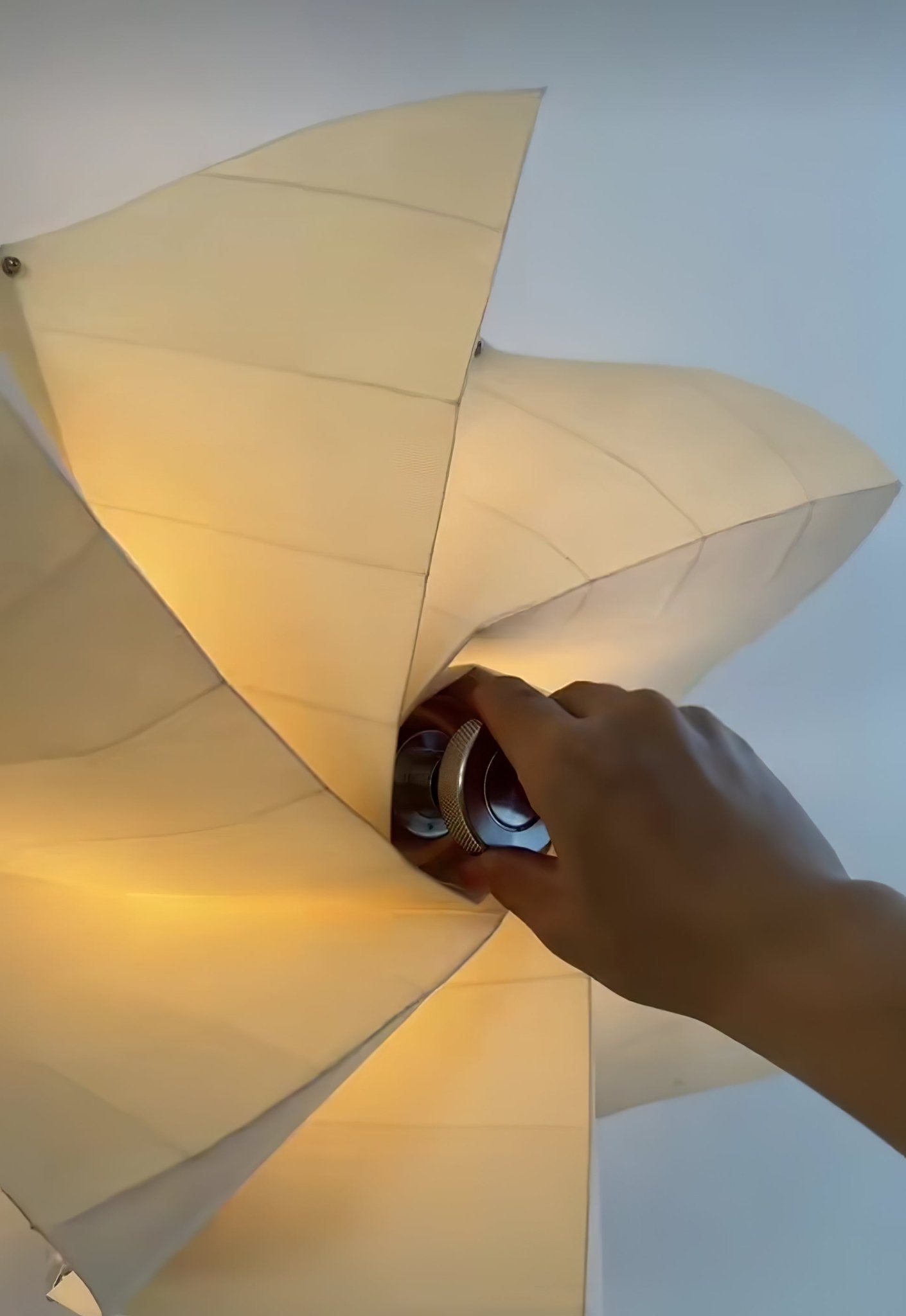 bloom-petals-wall-lamp-anzaz--13