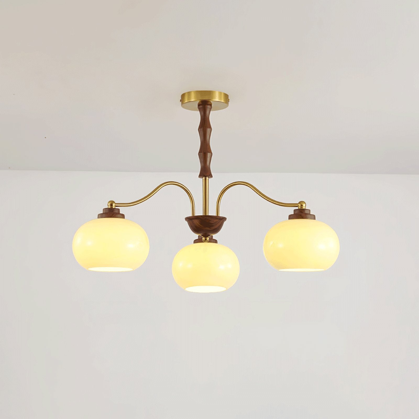 persimmon-glass-globe-chandelier-anzaz--22