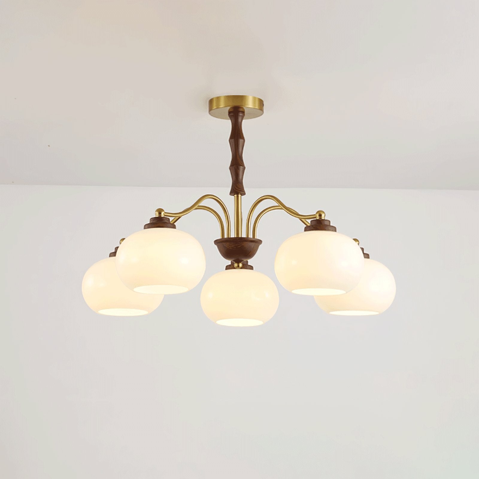 persimmon-glass-globe-chandelier-anzaz--20