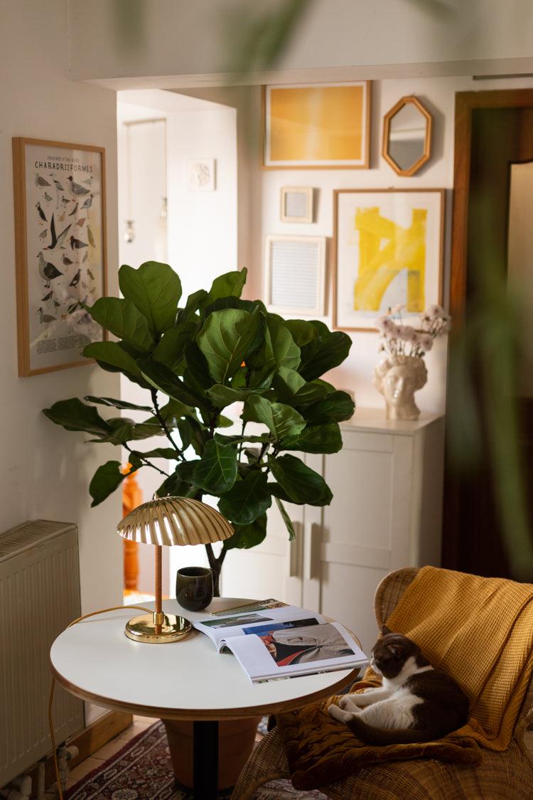 brass-shell-table-lamp-anzaz--66