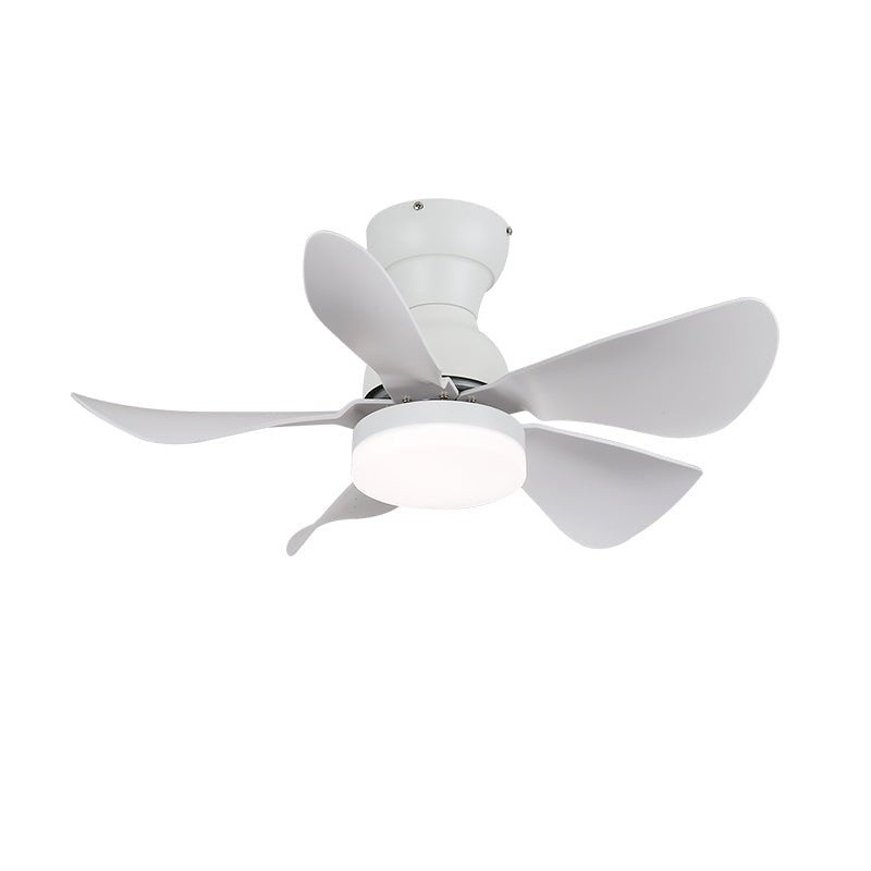small-arilia-29-ceiling-fan-light-anzaz--15