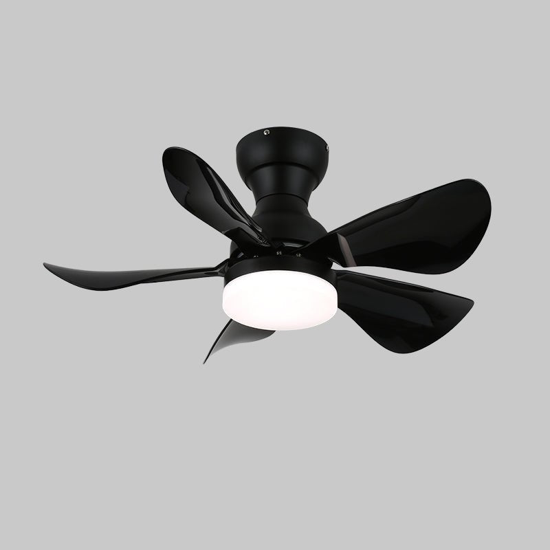 small-arilia-29-ceiling-fan-light-anzaz--16