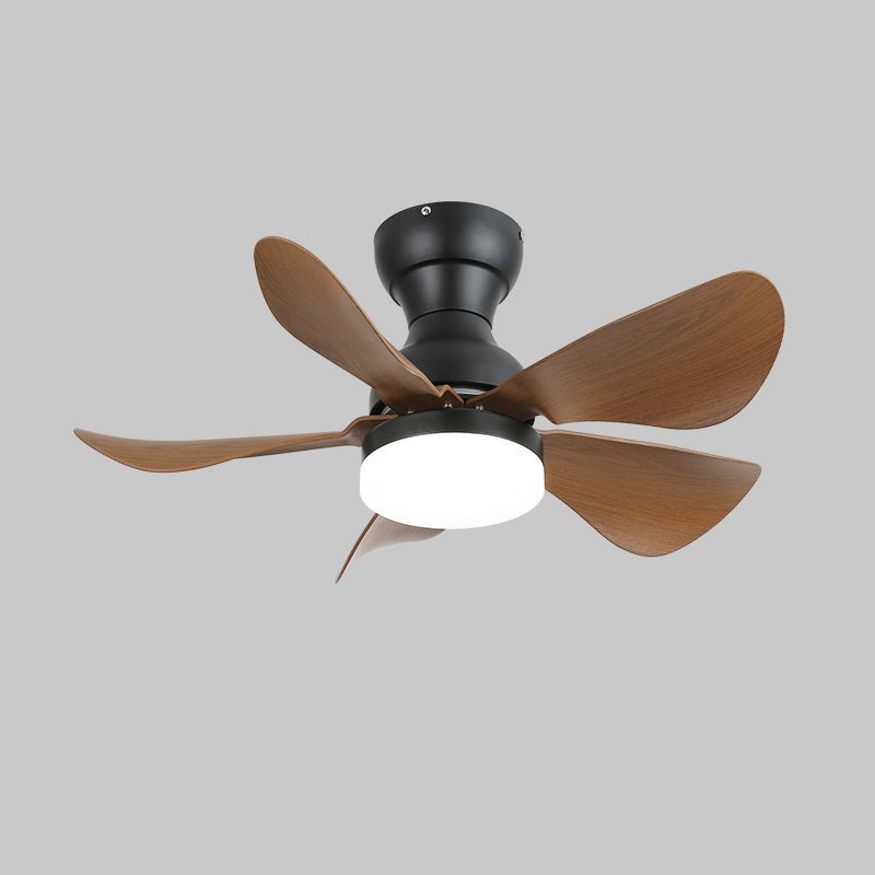small-arilia-29-ceiling-fan-light-anzaz--17