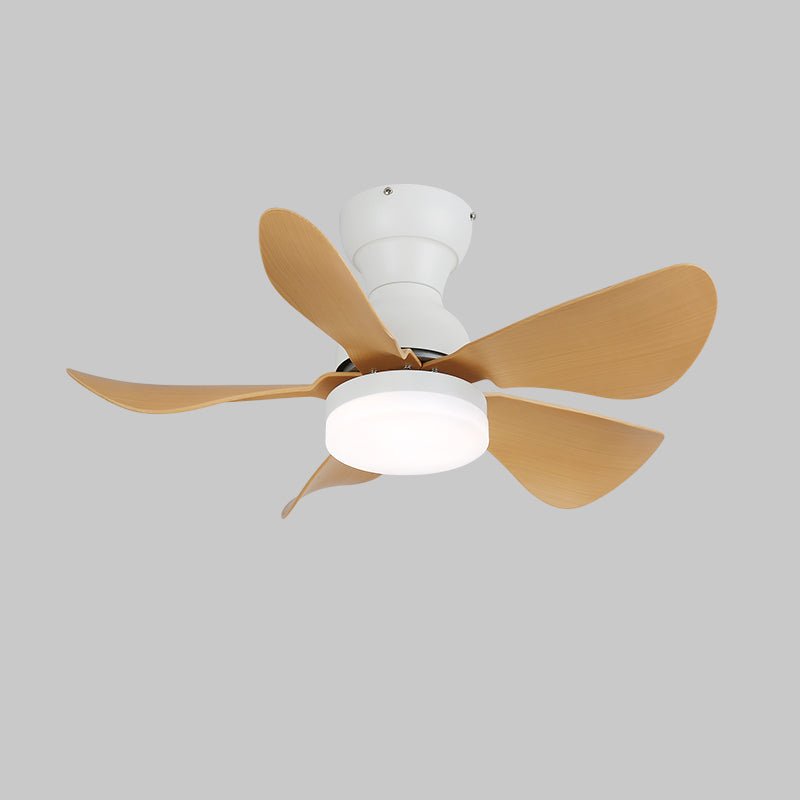 small-arilia-29-ceiling-fan-light-anzaz--18