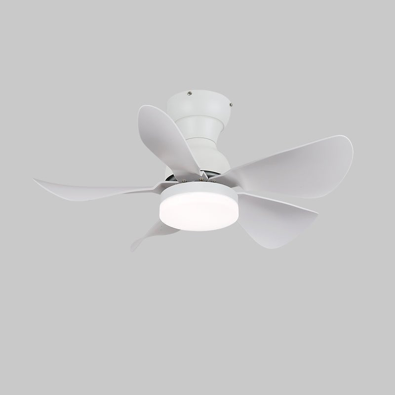 small-arilia-29-ceiling-fan-light-anzaz--19