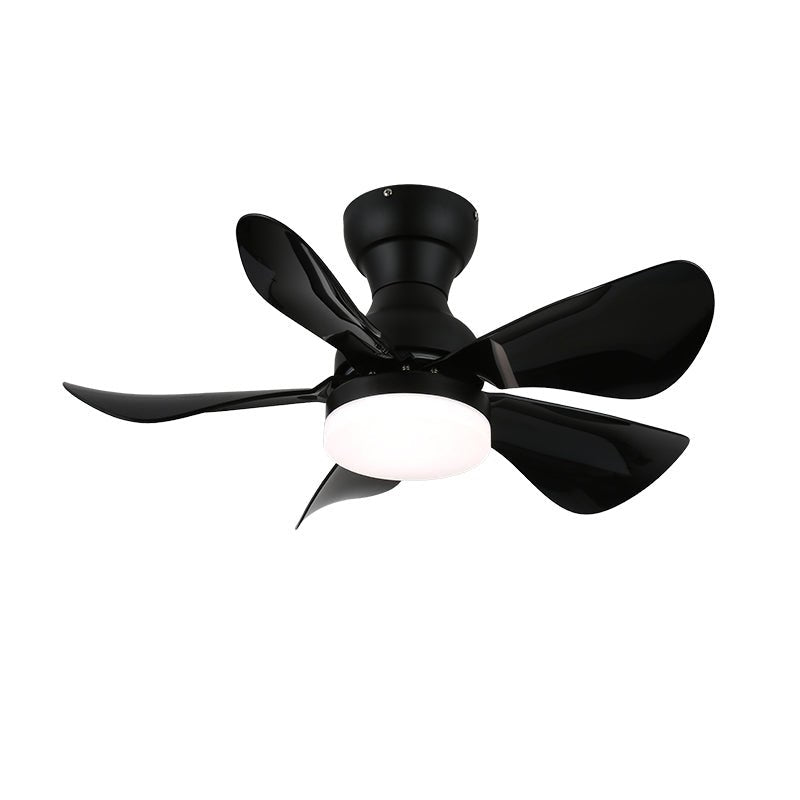 small-arilia-29-ceiling-fan-light-anzaz--12