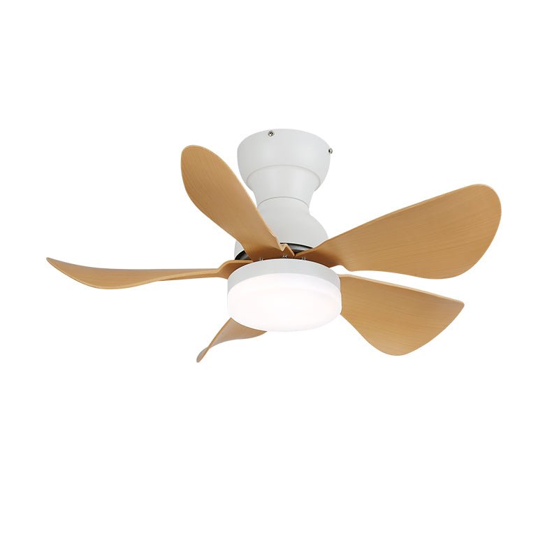small-arilia-29-ceiling-fan-light-anzaz--14