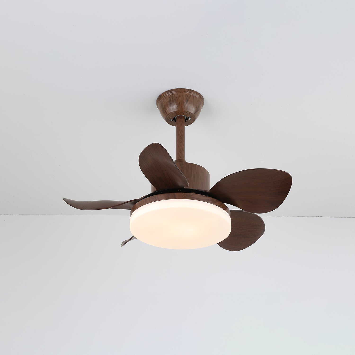 terra-walnut-ceiling-fan-light-anzaz--7