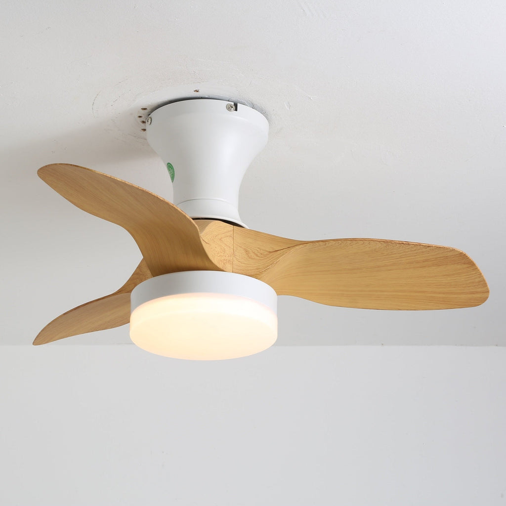 brisa-ceiling-fan-light-anzaz--5