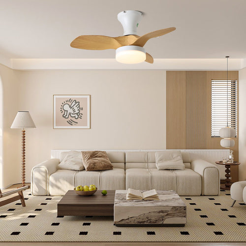 brisa-ceiling-fan-light-anzaz-Warm Light-2