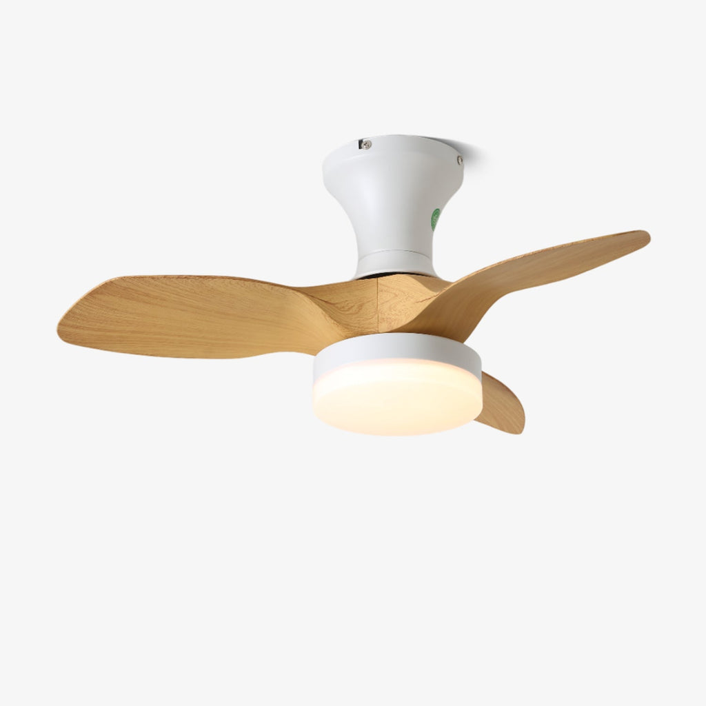 brisa-ceiling-fan-light-anzaz--6