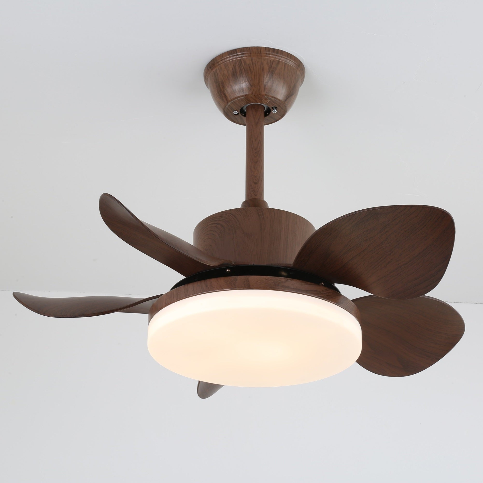 terra-walnut-ceiling-fan-light-anzaz--16