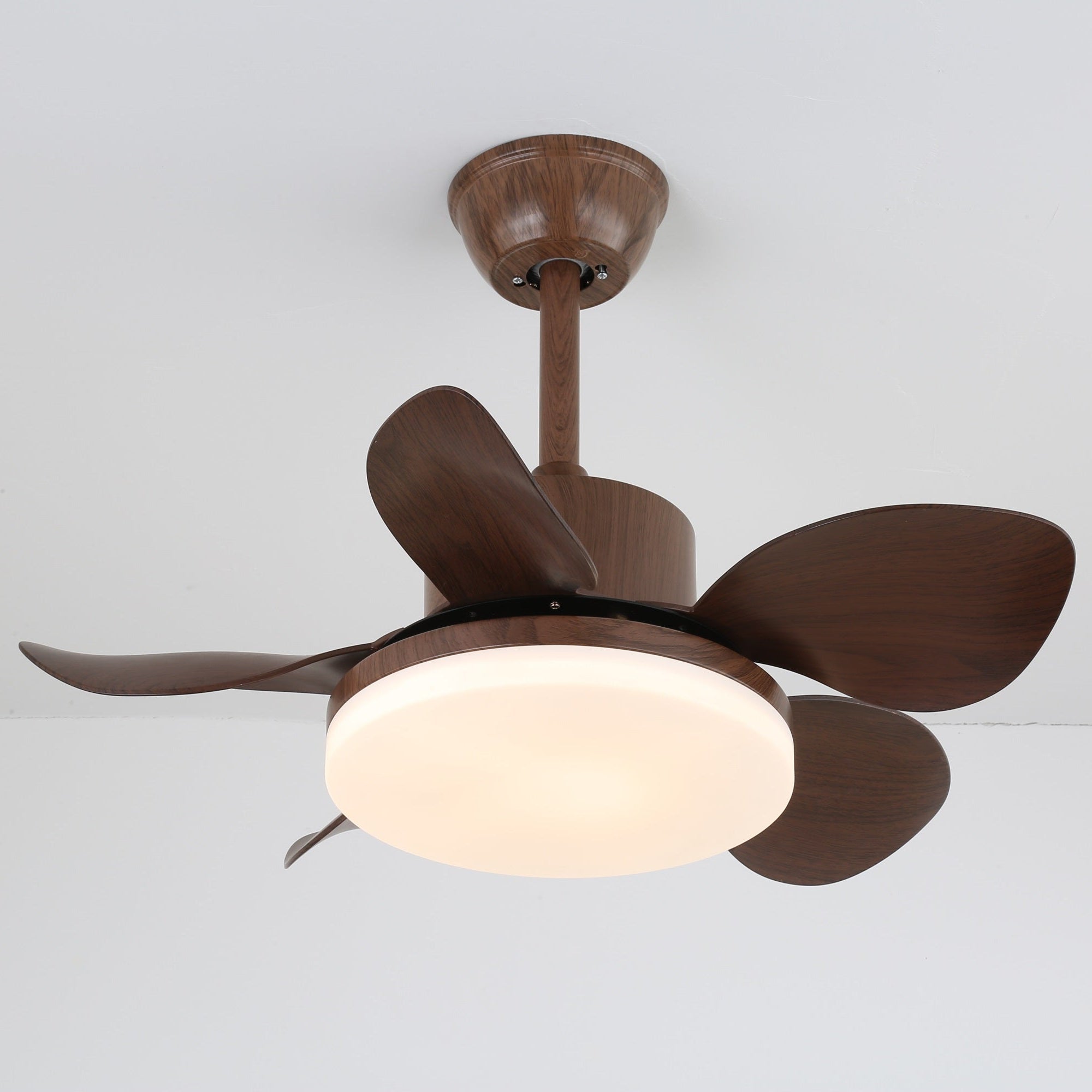 terra-walnut-ceiling-fan-light-anzaz--14