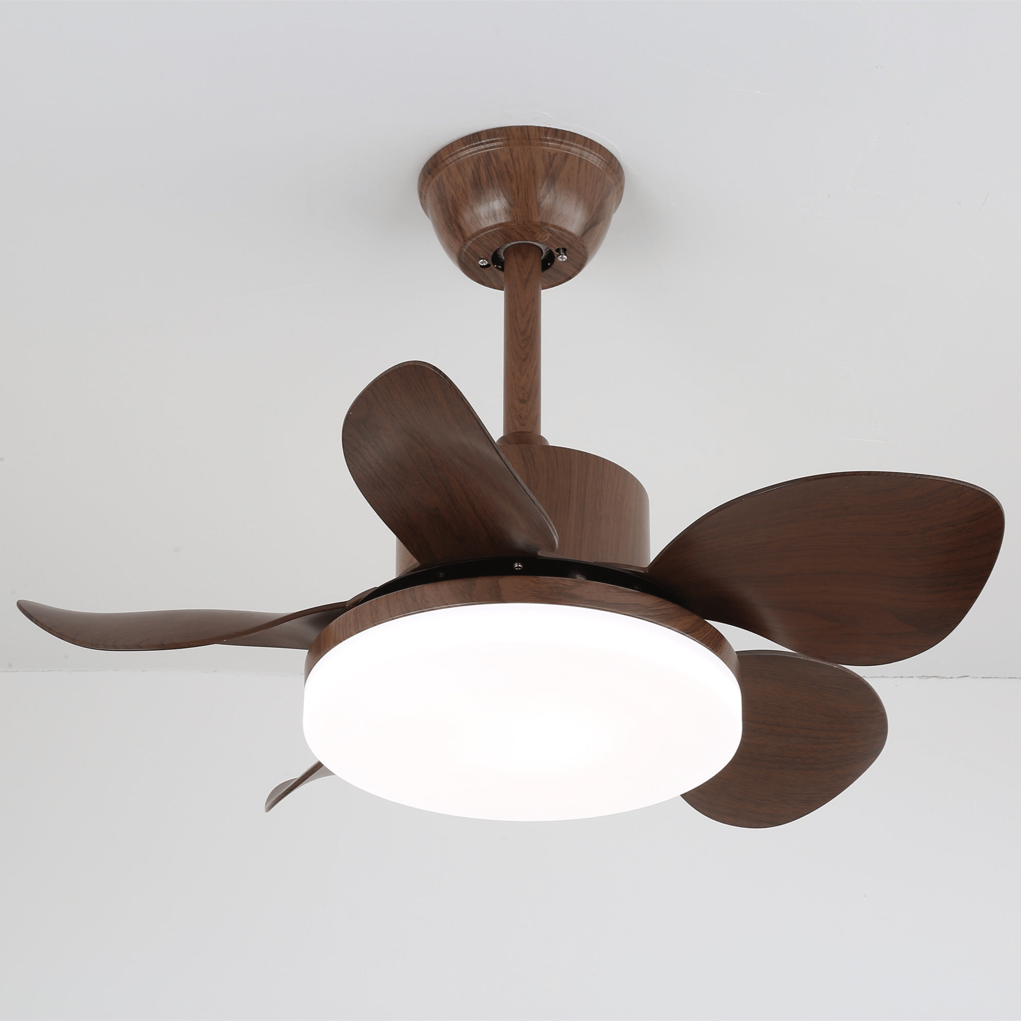 terra-walnut-ceiling-fan-light-anzaz--11