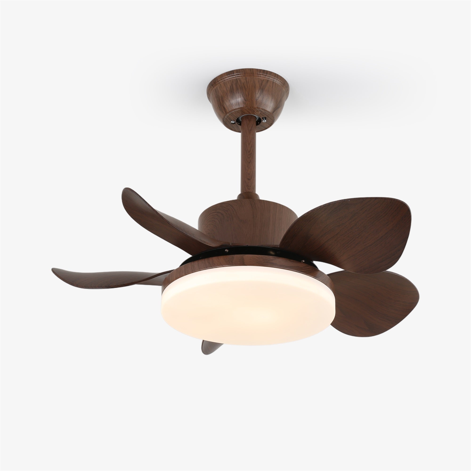 terra-walnut-ceiling-fan-light-anzaz--22