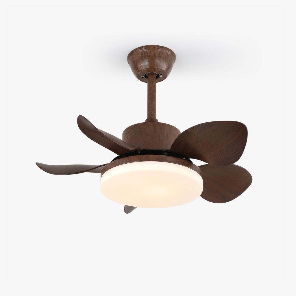 terra-walnut-ceiling-fan-light-anzaz--19