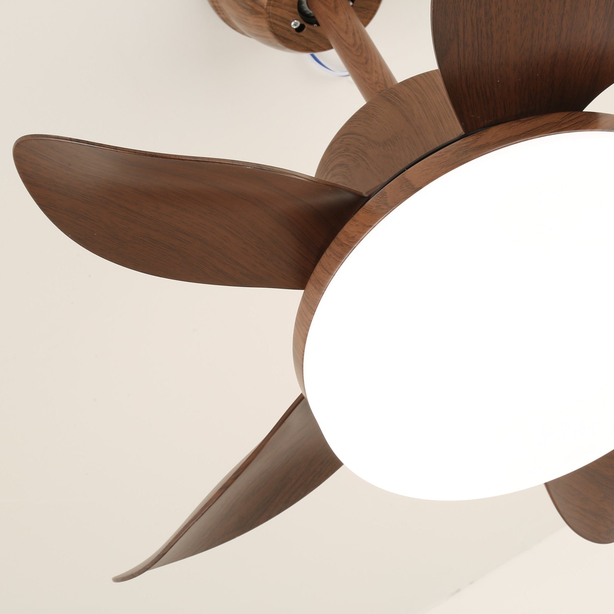 terra-walnut-ceiling-fan-light-anzaz--20