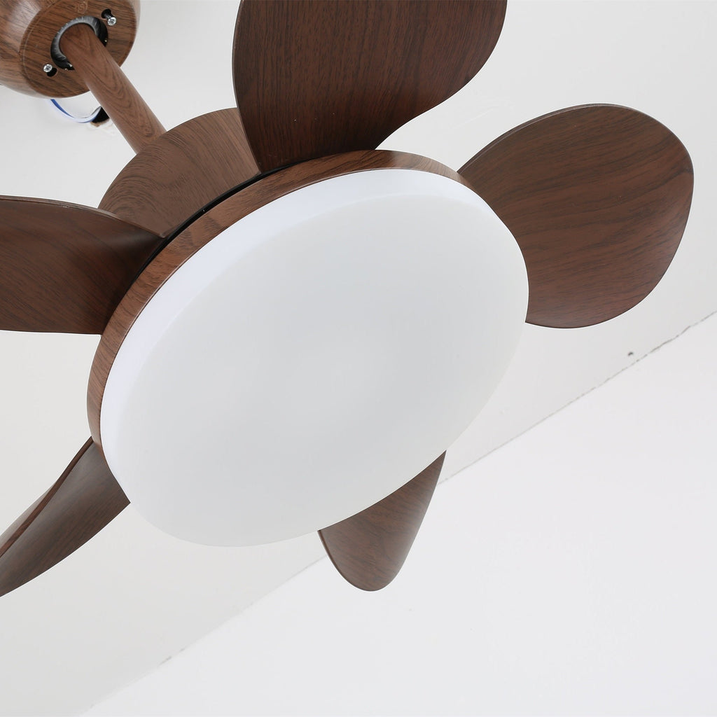 terra-walnut-ceiling-fan-light-anzaz--21