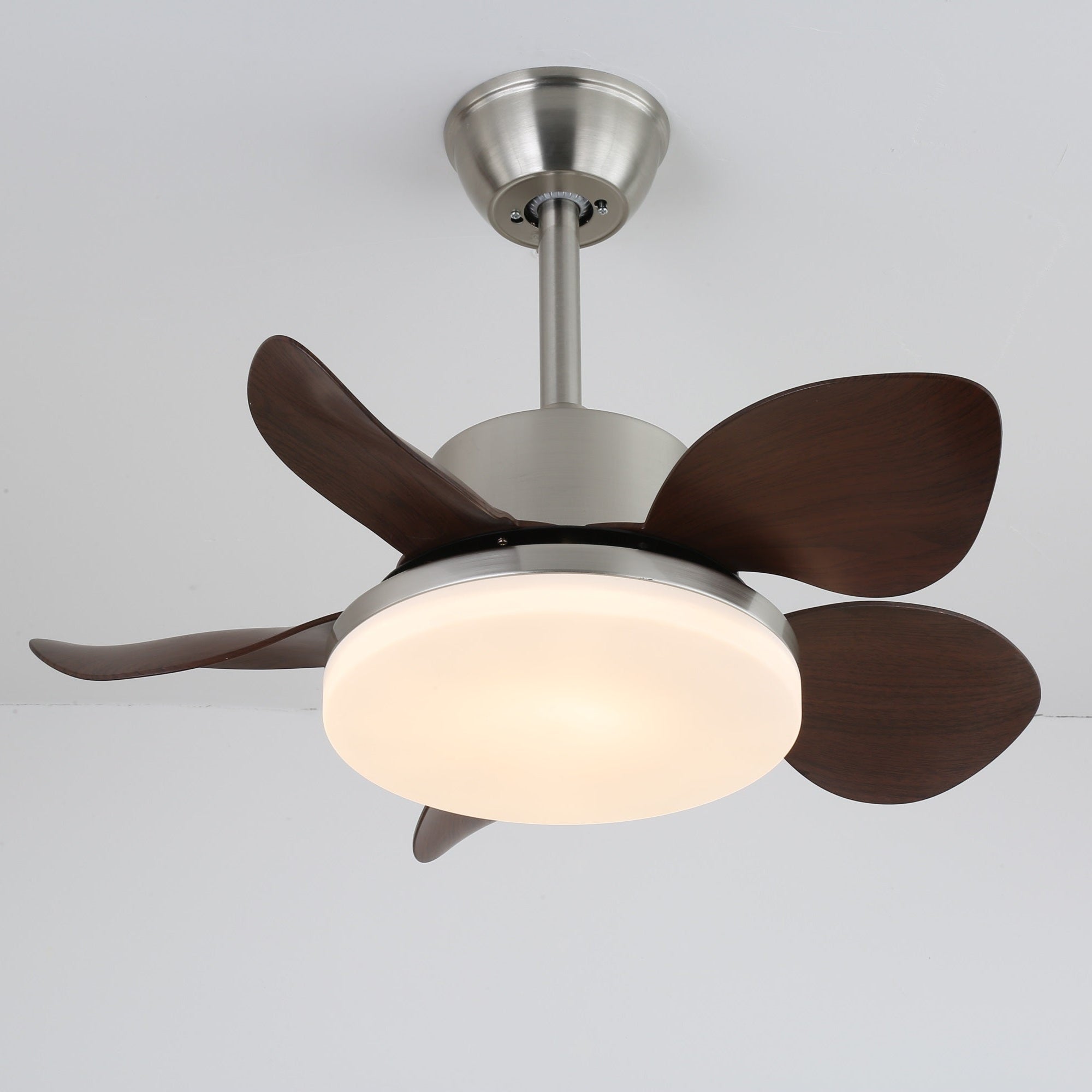terra-walnut-ceiling-fan-light-anzaz--13