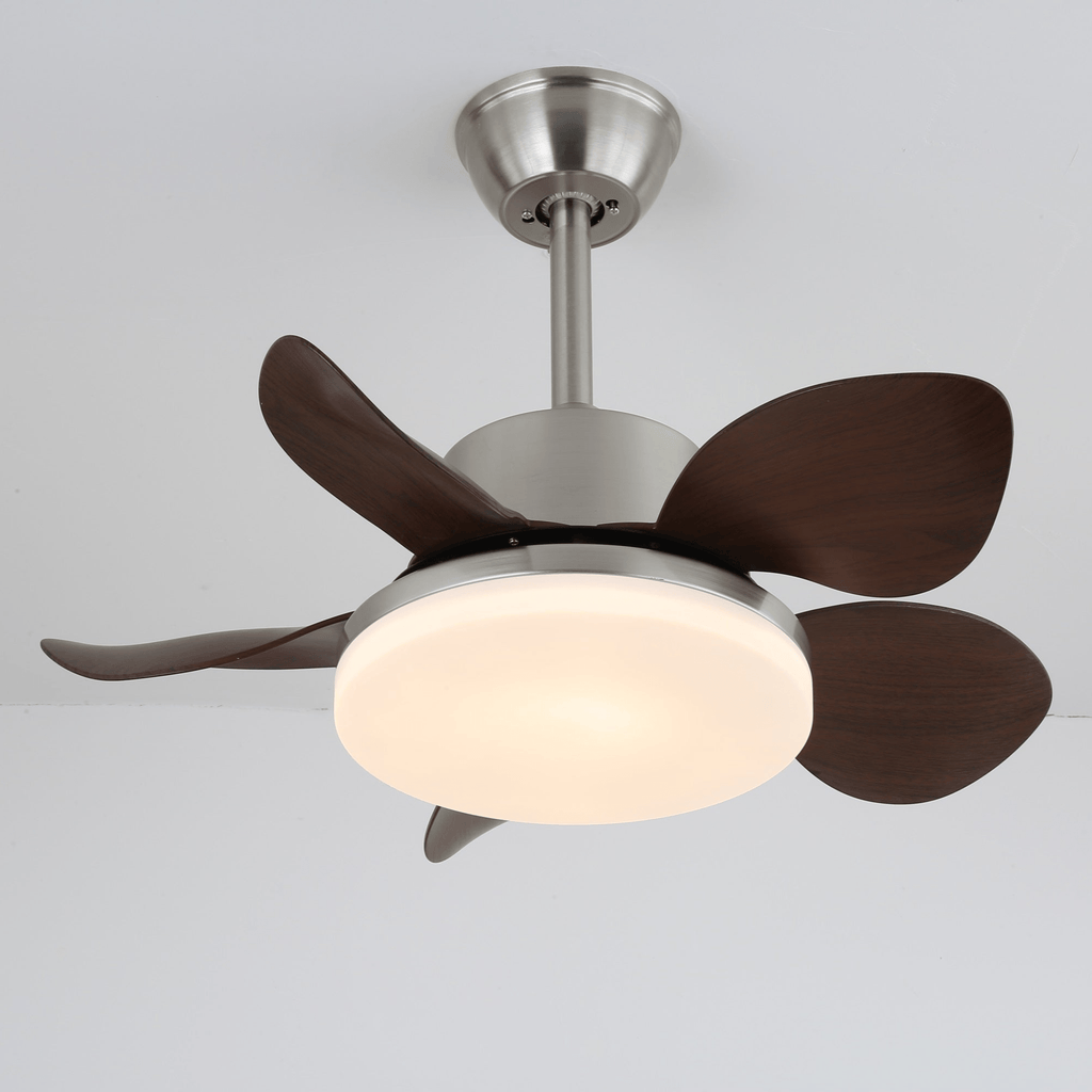 terra-walnut-ceiling-fan-light-anzaz--12