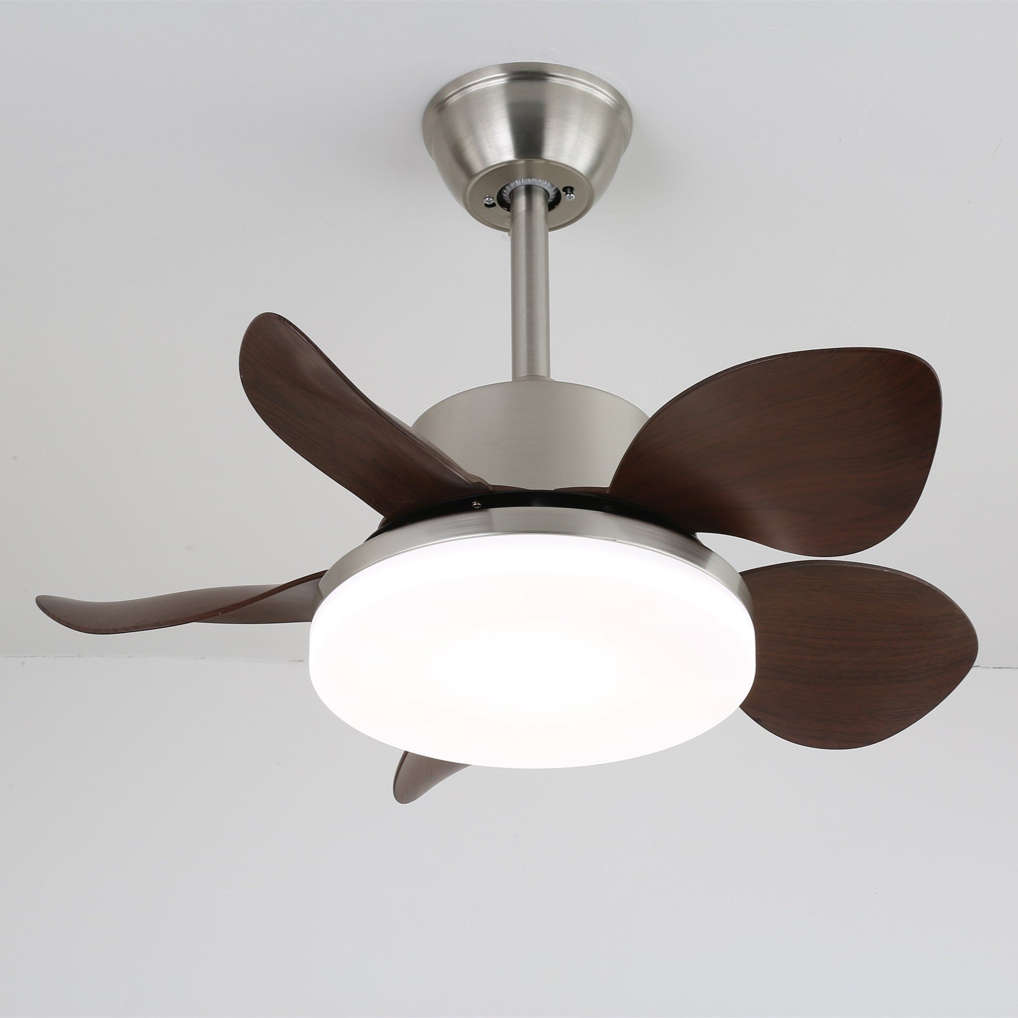 terra-walnut-ceiling-fan-light-anzaz--15