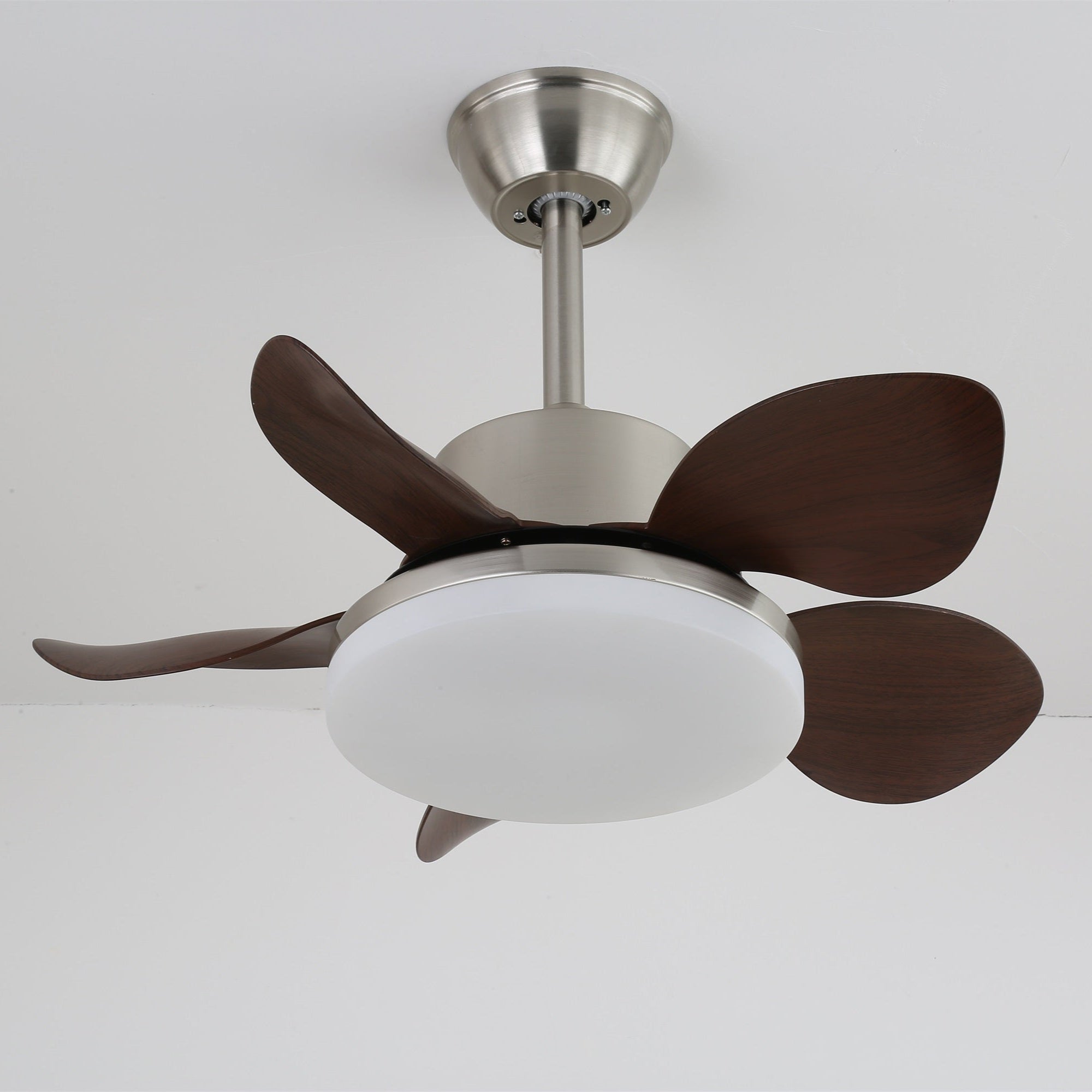 terra-walnut-ceiling-fan-light-anzaz--17