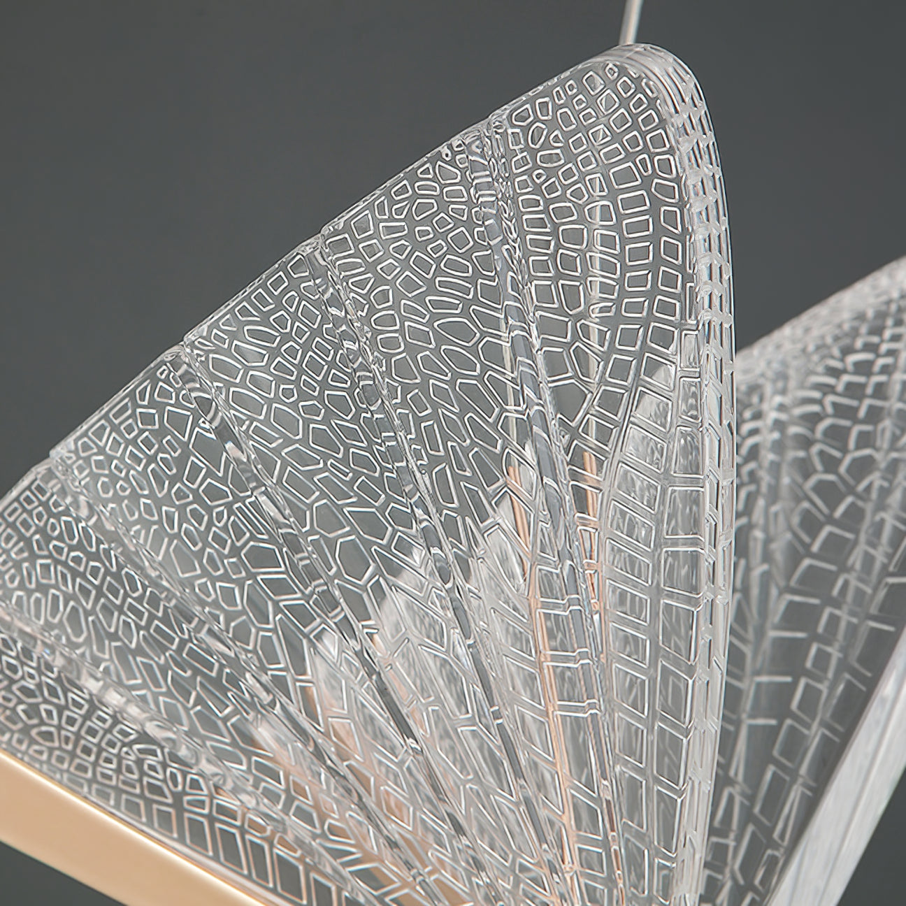 butterfly-pendant-light-anzaz--51