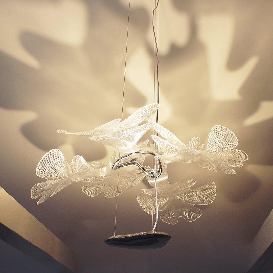 chlorophilia-suspension-light-anzaz--25