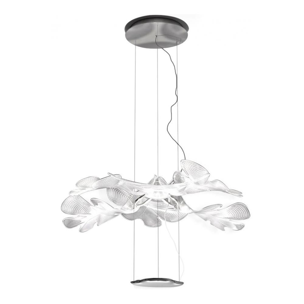 chlorophilia-suspension-light-anzaz--16