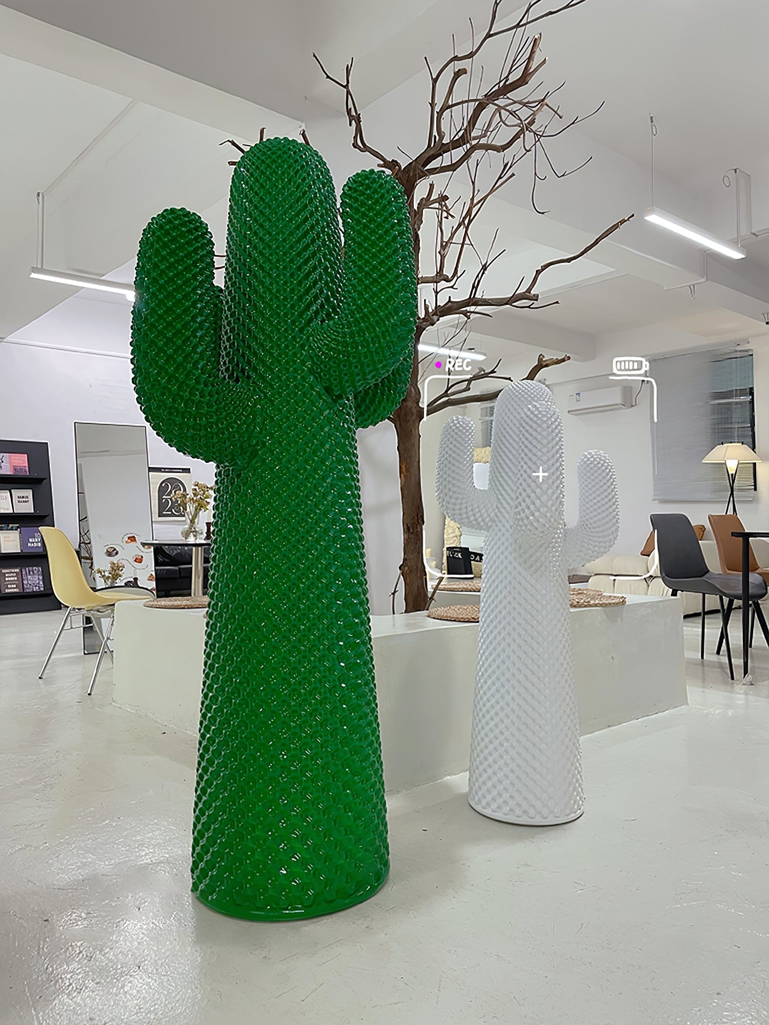 mello-sculptural-cactus-coat-rack-anzaz--35