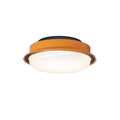 caelan-ceiling-light-anzaz--7