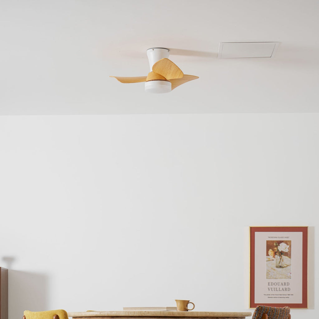 calix-28-ceiling-fan-light-anzaz--13