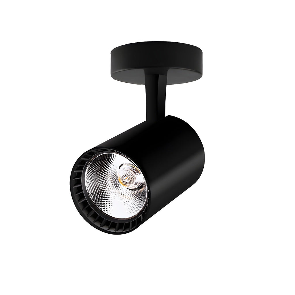 calla-beam-spotlight-anzaz--17