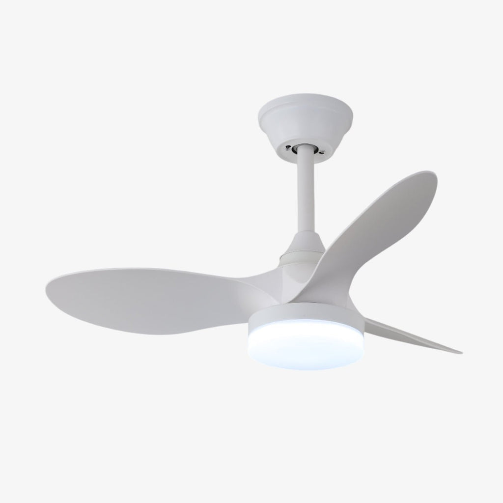 callum-ceiling-fan-light-anzaz--7