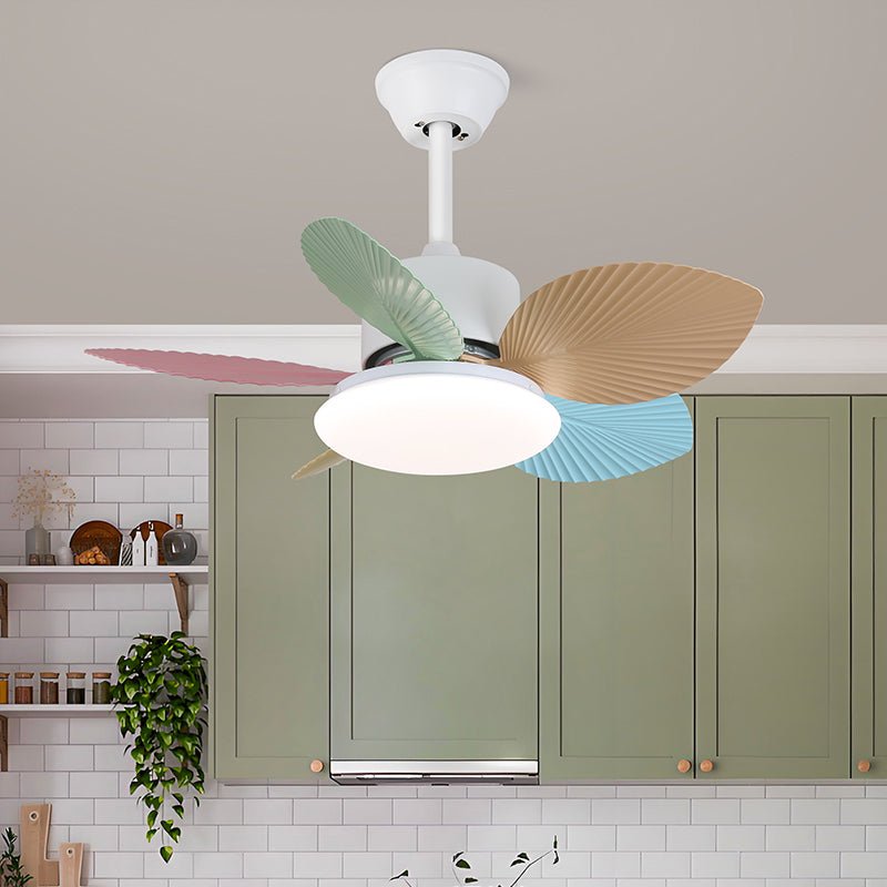 candy-breeze-ceiling-fan-light-anzaz--7