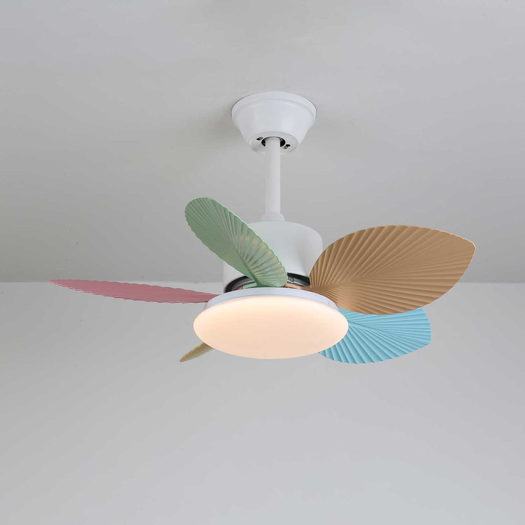 candy-breeze-ceiling-fan-light-anzaz--57