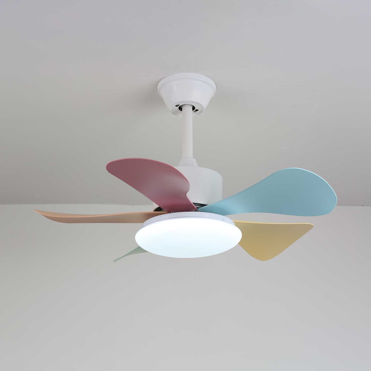 candy-breeze-ceiling-fan-light-anzaz--61