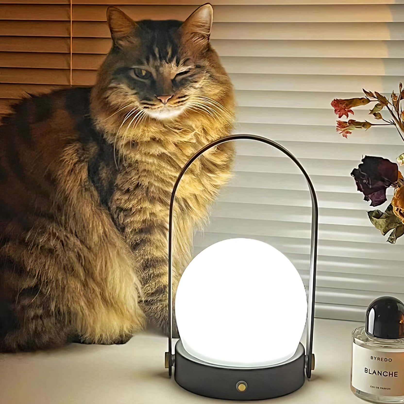 carrie-built-in-battery-table-lamp-anzaz--78