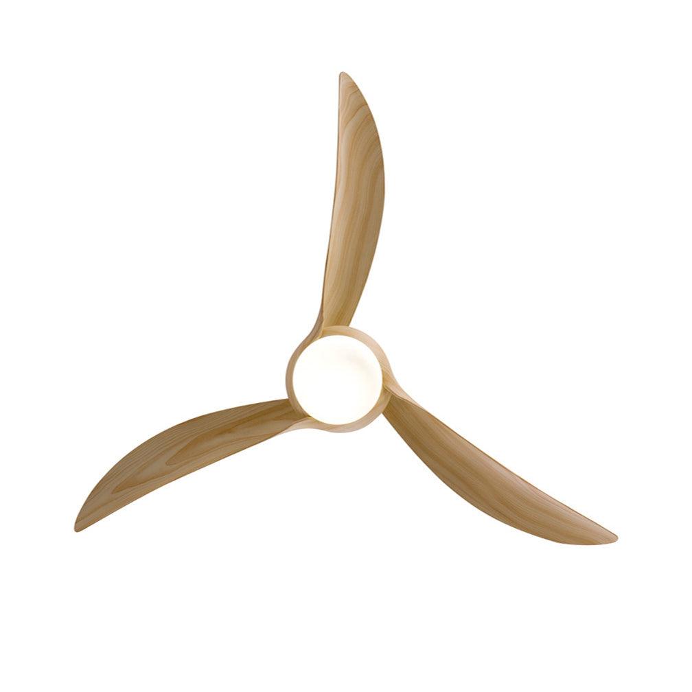 traditional-ceiling-fan-light-anzaz--15