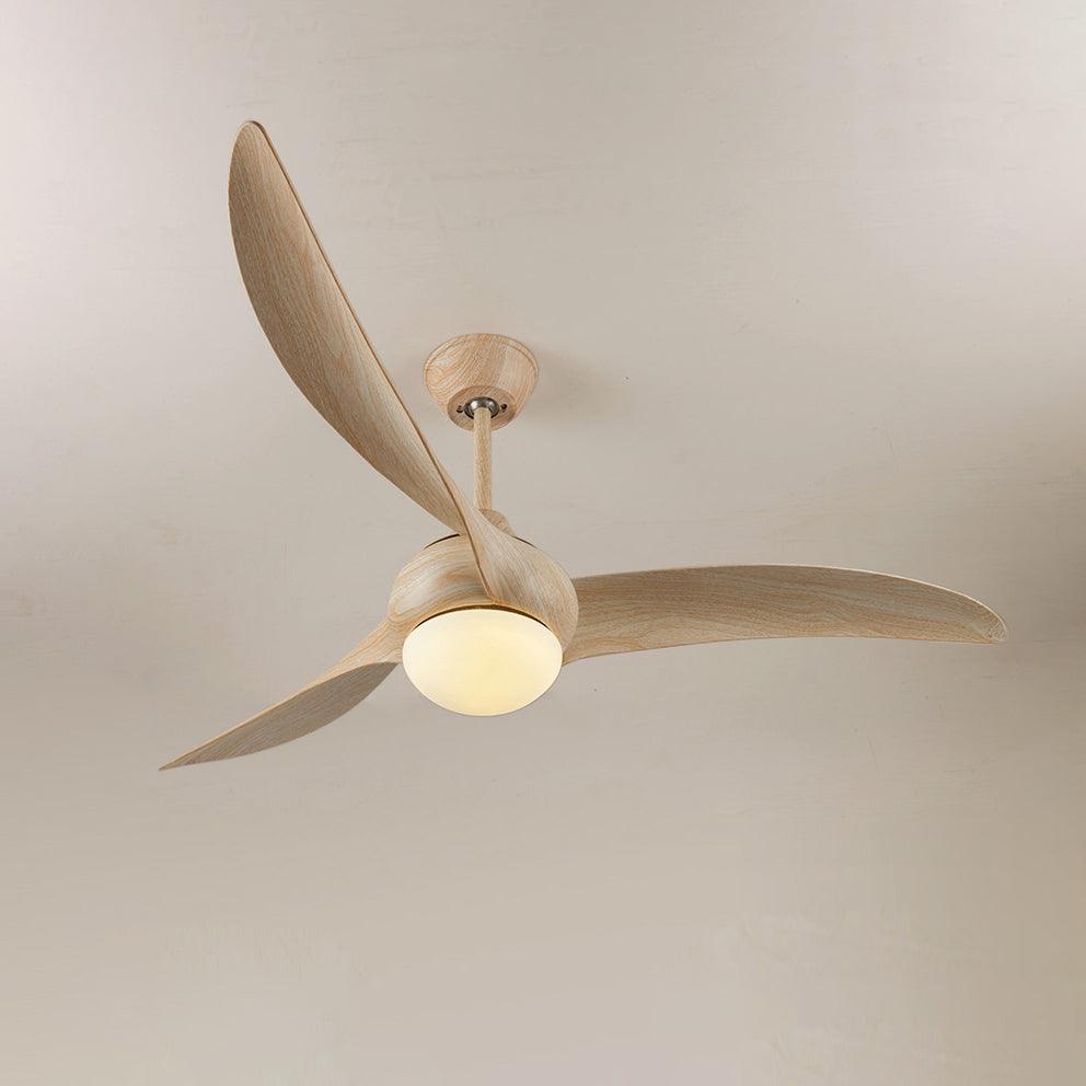 traditional-ceiling-fan-light-anzaz--16